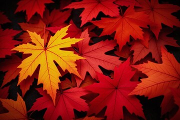 Fototapeta premium pile of colorful autumn leaves on a black background