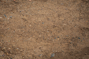 soil that has dried out and has small cracks on it.