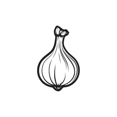 Single Drawn Garlic Bulb Illustration Minimalist Vegetable Outline on White Background