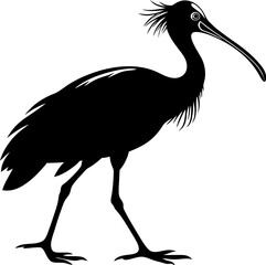 Obraz premium Spoonbill Seabird Silhouette on Transparent Background – Flat Black Vector Illustration