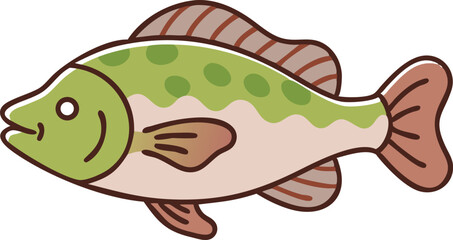 Vibrant wrasse fish illustration on white background