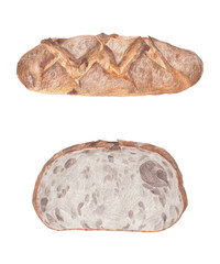 色鉛筆で描いたライ麦パンのイラストレーション