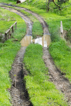 Muddy wheel tracks winding through puddles and green grass