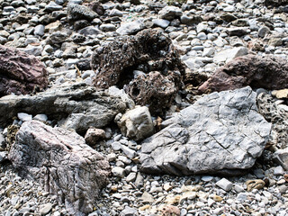 Rough rocky surface on the beach