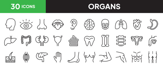 Organs icon set in line style. Collection of part of human bodies linier icons. including head, eyes, ear, mouth, heart, bone, teeth, brain, hair, etc. Editable stroke