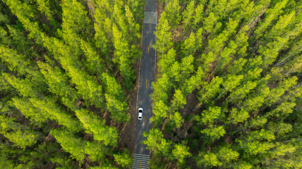 Aerial view of dark green forest road and white electric car Natural landscape and elevated roads Adventure travel and transportation and environmental protection concept	
