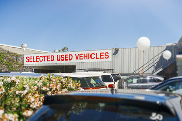 Selected used vehicles for sale in car dealership