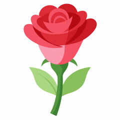 Fototapeta premium red rose isolated on white background