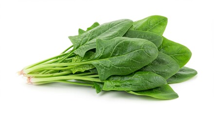 Fresh spinach bunch