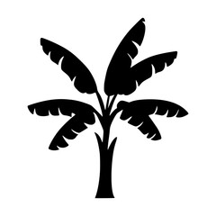 Fototapeta premium Black Palm Tree Silhouette Icon