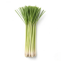 Lemongrass stalks (Cymbopogon citratus), fresh light green stalks with trimmed ends, isolated on white, upright arrangement