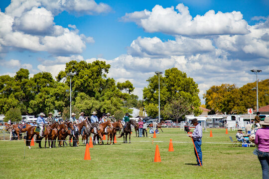 Horses and riders waiting their turn in showground arena