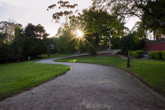 Curving Garden Path with Sun Setting in Background