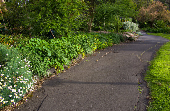 Asphalt Garden Path with Empty Bench