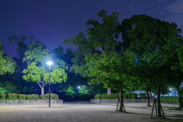 夜空に浮かぶ一本の街灯と公園の木立