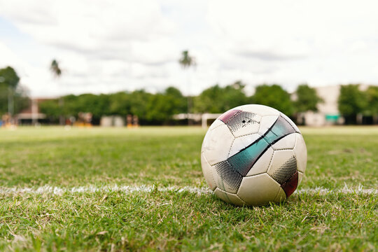 Fototapeta Soccer ball on the grass