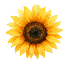 Naklejka premium Realistic Yellow Sunflower for Print Design