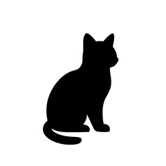 black cat on white background