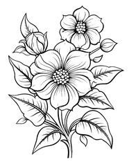 Black and white color pages for&nbsp;kids