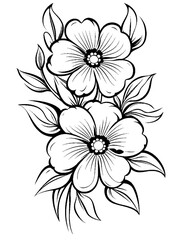 Black and white color pages for kids