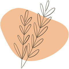 vector illustration of an abstract leaf