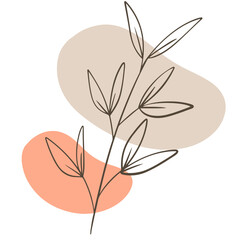 vector illustration of an abstract leaf
