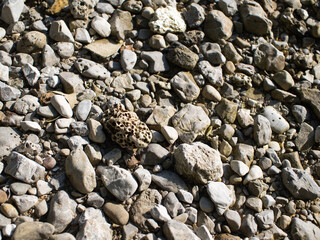 Rough rocky surface on the beach