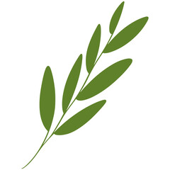 vector illustration of an abstract leaf