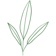 vector illustration of an abstract leaf