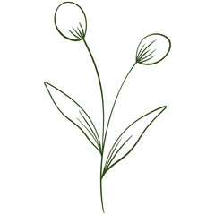 vector illustration of an abstract leaf