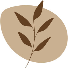 vector illustration of an abstract leaf