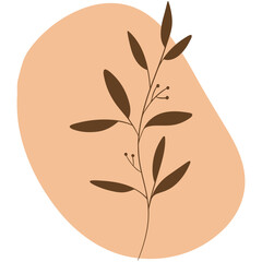 vector illustration of an abstract flower