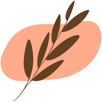 vector illustration of an abstract leaf