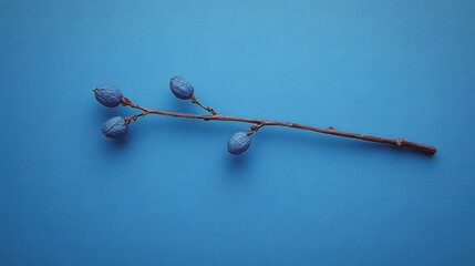 Fototapeta premium Beaded Decorative Blue Branch on Azure Background Still Life Style