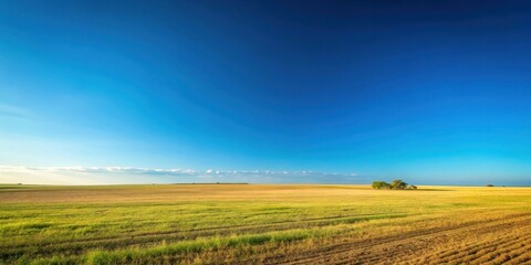 A vast expanse of open field under a brilliant clear blue sky with nary a cloud in sight