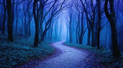 Breathing meditation for emotional strength and healing concept. Mysterious winding path through a foggy, blue-toned forest.