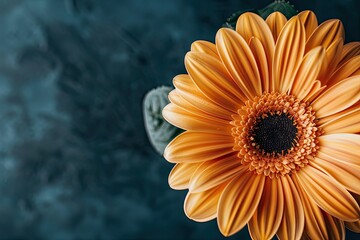 Clear Pixel Visual of Closeup of an Orange Beautiful Flower