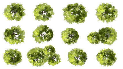 Vertor set of green tree,plants top view for landscape plan,schematic layout,eco environment concept design,watercolor greenery illustration