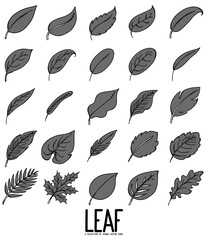 Leaf Doodle vector icon set. Drawing sketch illustration hand drawn line eps10