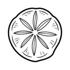 Sand dollar shell with natural texture Line Art Vector illustration