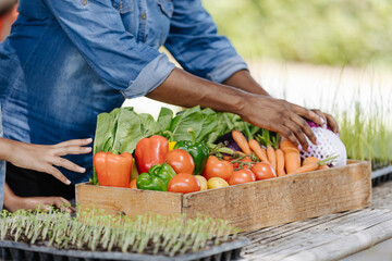 mother and daughter gardening with A basket of vegetables and fruits  in backyard organic farm garden.