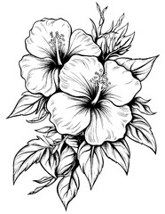 Vector illustration of color pages