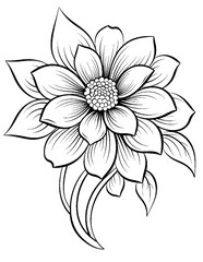 Vector illustration of color pages