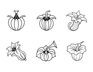 a pumpkin flower icon with large trumpet shaped