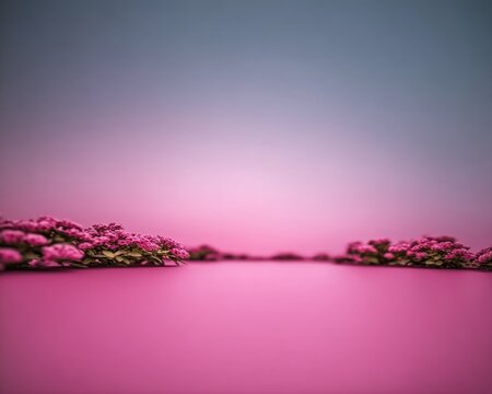 Pink flower field against a pastel sky