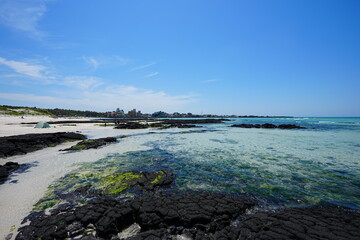 mossy rocks and clear shoaling beach