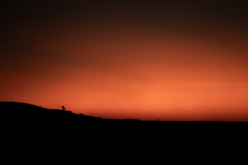 Volcanic ledge, tiny distant soul