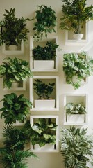 Indoor Plants in White Pots and Frames on Wall