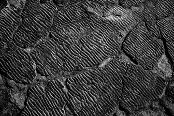 Grooved rock shelf, naturally etched