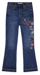 blue jeans isolated on white